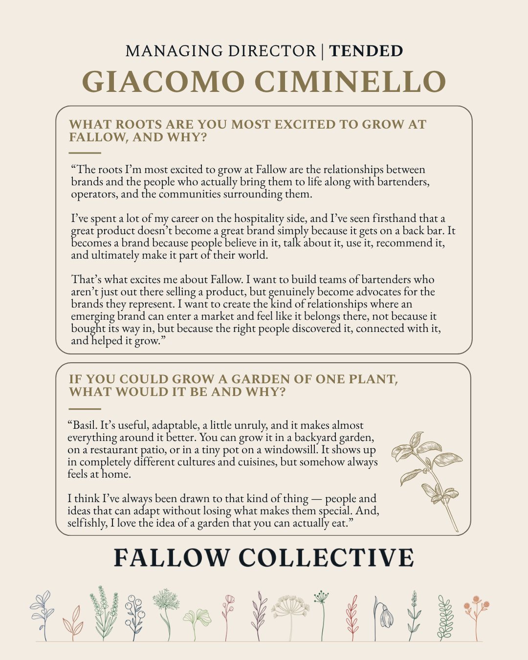 Giacomo Ciminello on LinkedIn