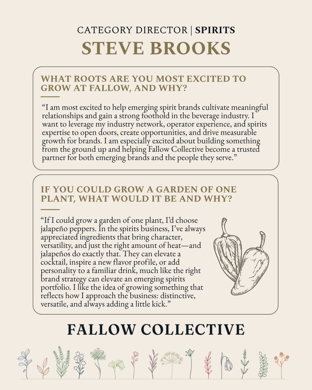 Steve Brooks on LinkedIn